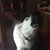 Teresa Feaster's profile image