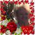 Linda Allen's profile image