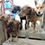 Traci Foskett's profile image