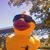 Donnaleigh Wilder's profile image