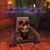 Darlene Drobnak-Rotolo's profile image
