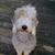 Susan Howell's profile image