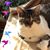 MJ Berthinet's profile image