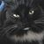 James J. Lee's profile image
