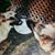 Harry Strawn's profile image