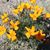 Marie Brayman's profile image