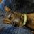 Trudy Torbert's profile image