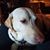 Barbara Brunker's profile image