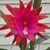 Ann Kelly's profile image