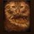 Barbara Joan Hawley-Burke's profile image