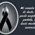 Nelie Acevedo's profile image