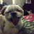 Tricia Koval's profile image