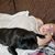 Brent Westrick's profile image