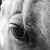 Yvette Breaux's profile image