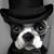 MarcoMia Riso's profile image