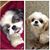 Pamela Taylor Zeigler's profile image