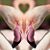 Rachel Watkins's profile image