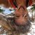 Bree Elza's profile image