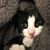 Jonna Shaw's profile image