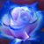 Paula Shelman's profile image