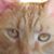 Joleen Campbell Johnston's profile image