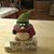 Carol Carlson-Sinnaeve's profile image