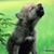 Jo Foust's profile image