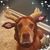 Sarah Edrington's profile image