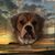 Cindy Lou Scudder's profile image