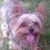 Lois Ruzzo's profile image