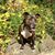 Amelia Mazzone's profile image