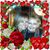 Renee Smith's profile image