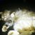 Michelle Winther's profile image