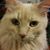 Karen Doty Horstman's profile image