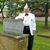 Bill Greene's profile image