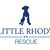 Kate Healey Dubuque's profile image