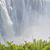 Lecia Rodriques-Whyte's profile image