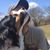 Matthew Boynes's profile image