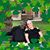 Sara Ealey's profile image