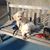 Mickey Miles Freridge's profile image