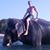 Jason A. Thelen's profile image