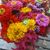 Valarie Storms's profile image