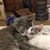 Sherrie Dailey Lee's profile image