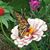 Debbie Bicker's profile image