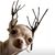 Mary Ann McEwen Fish's profile image