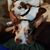 Elizabeth Heston's profile image