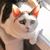 Masayuki Itomitsu's profile image