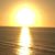 Mary DeVries Crans's profile image