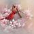 Shirley Niner's profile image