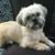 Stephanie Young's profile image